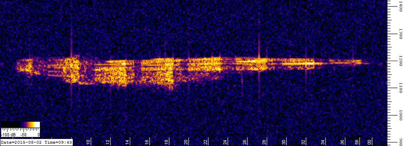 Spectrogram of a radio reflection off a ionized meteor trail